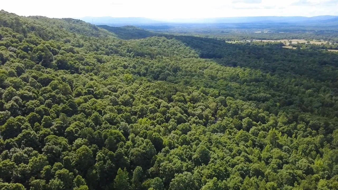 Land -Single Family Acreage in Mena - Mena, Arkansas, 71953