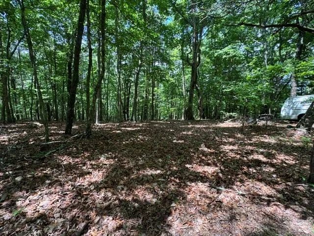 Property from 154 Chill Lane - KW - Blairsville, Georgia, 30512