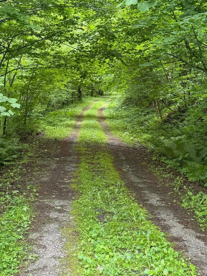 Vacant Land in Enosburg - land for sale