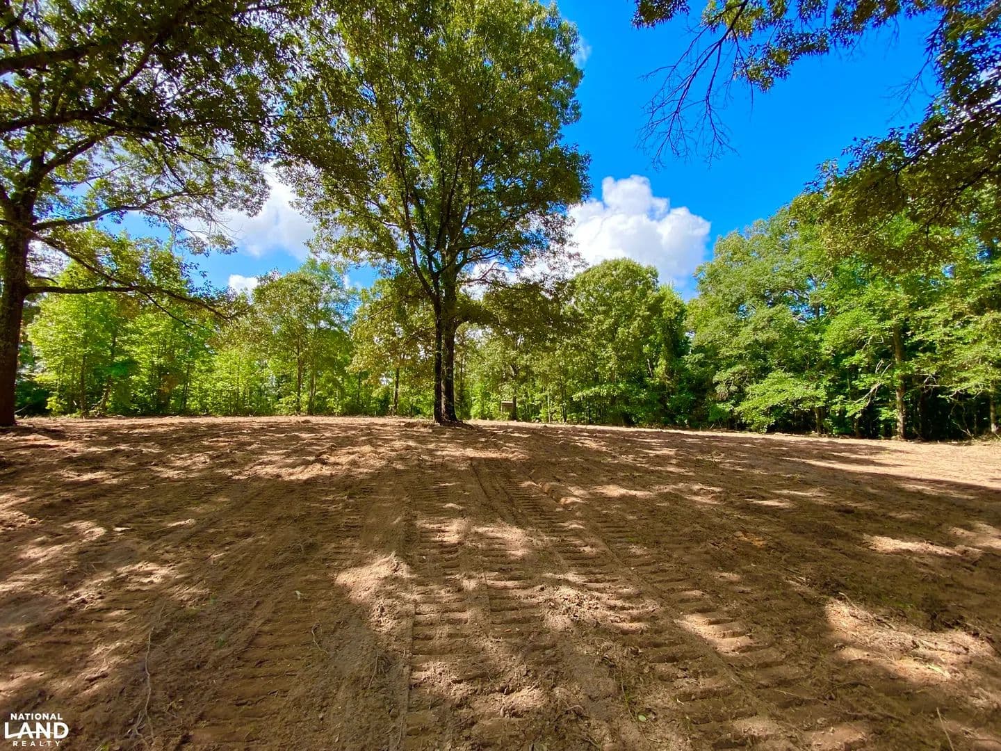 Marion - HWY 5: Hunting - Timber - Home Site Tract - land for sale