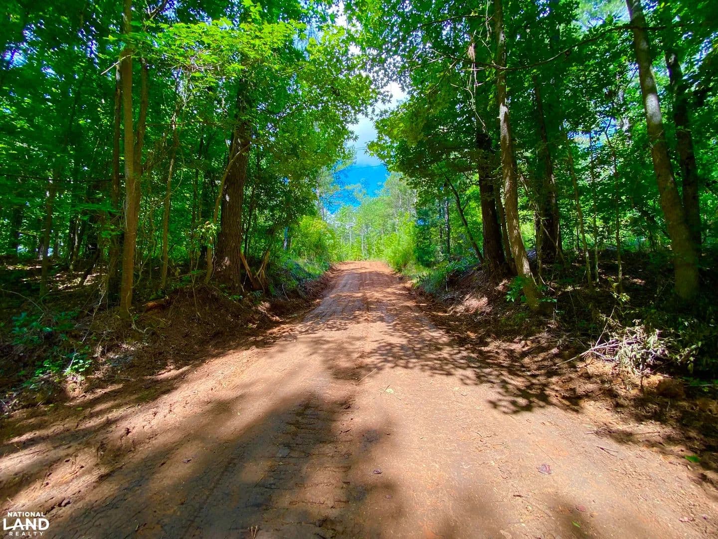 Marion - HWY 5: Hunting - Timber - Home Site Tract - Marion, Alabama, 36756