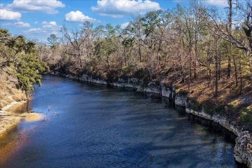1.5 Acre Withlacoochee Escape