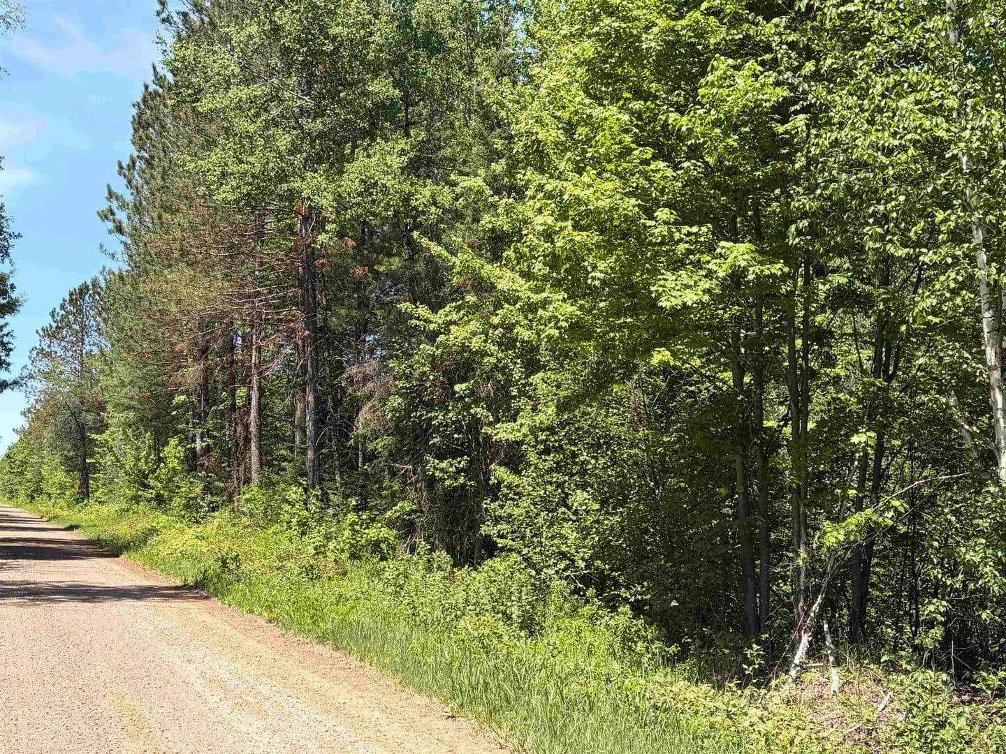 40 Acres of Land for Sale in Tomahawk, Wisconsin - Tomahawk, Wisconsin, 54487