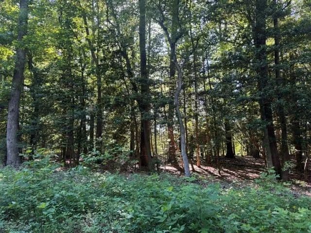 Property from Lot 14 Cod Creek Drive - KW - Heathsville, Virginia, 22473
