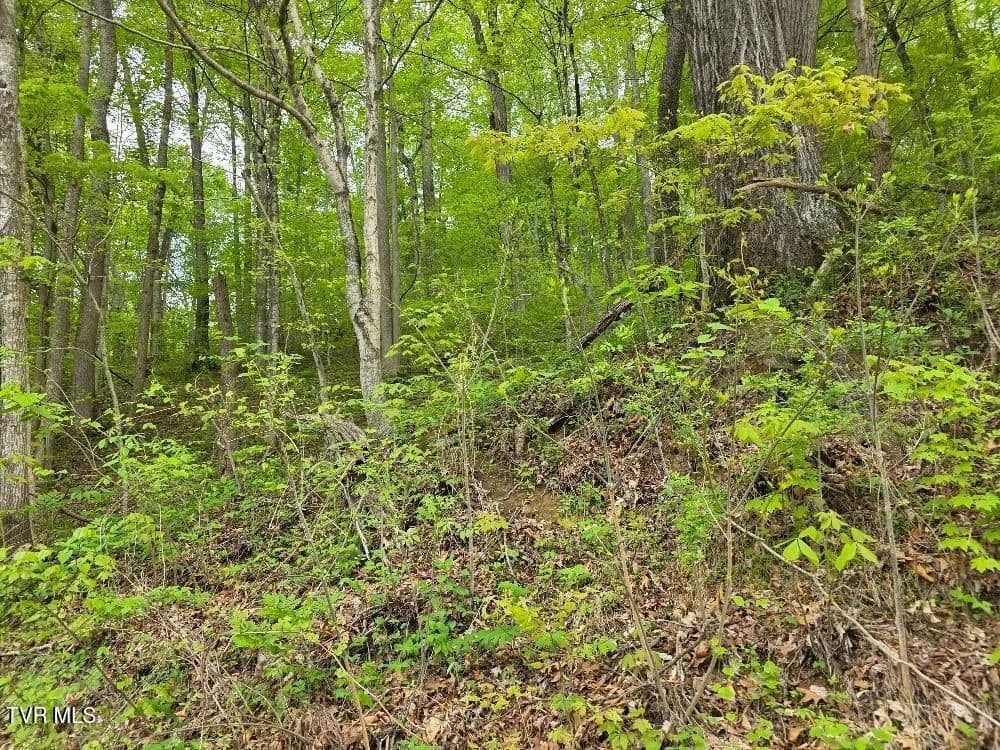Property from Tbd Garrison Hollow - KW - Elizabethton, Tennessee, 37643