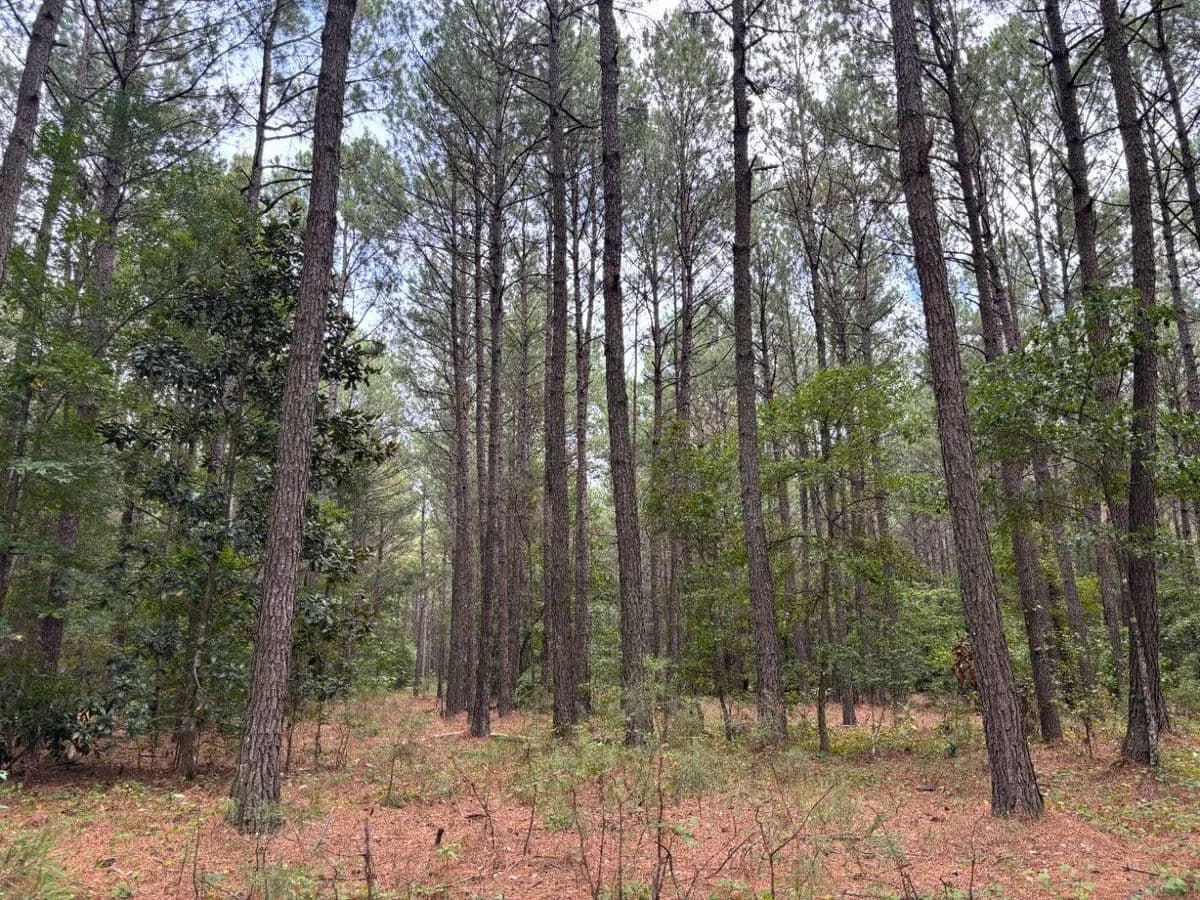 Apple Tree Lane Tract - land for sale