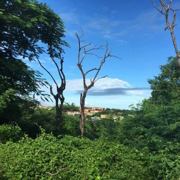 Vacant Land in St George - land for sale