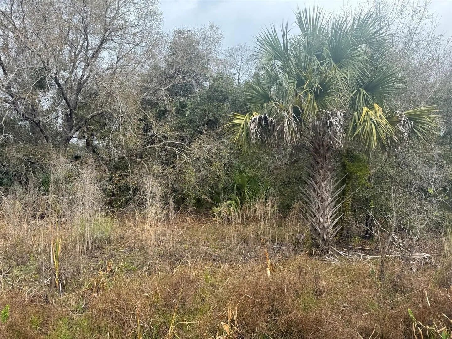 Property from 17667 NW 254TH STREET - KW - land for sale