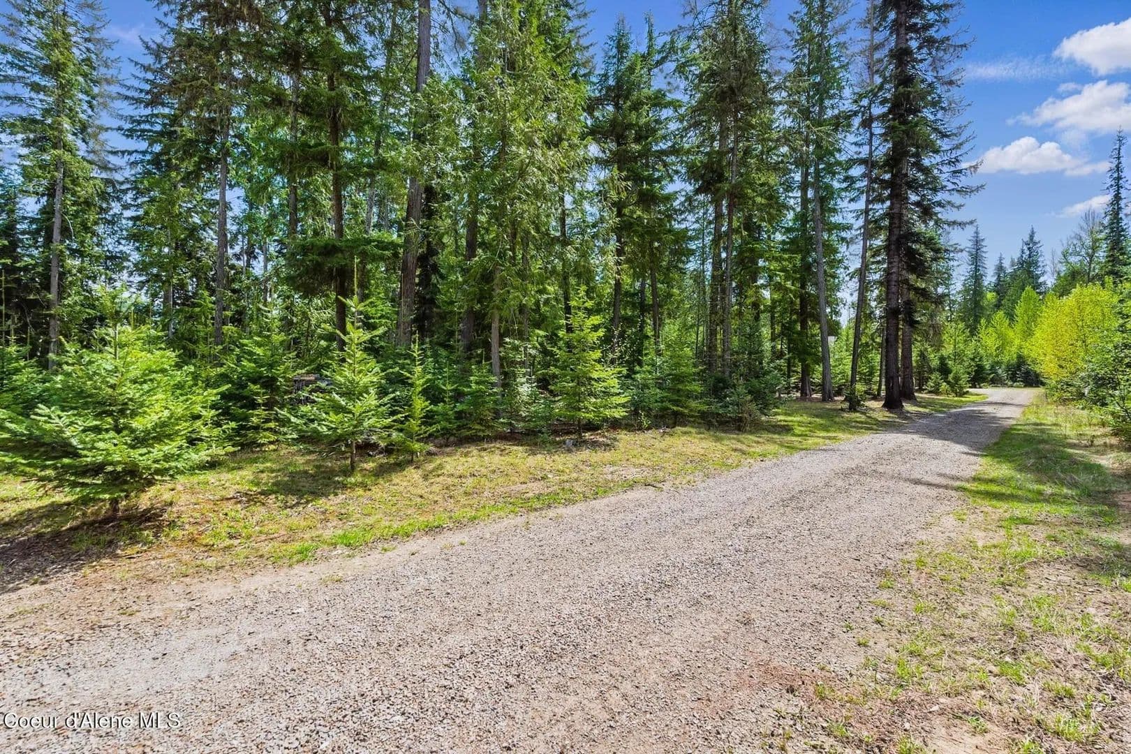 Property from NNA Bruin Rd - KW - Nordman, Idaho, 83848