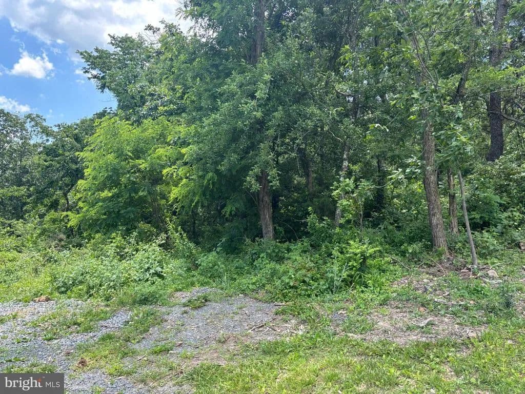 Property from 0 WARDENSVILLE GRADE - KW - Winchester, Virginia, 22602