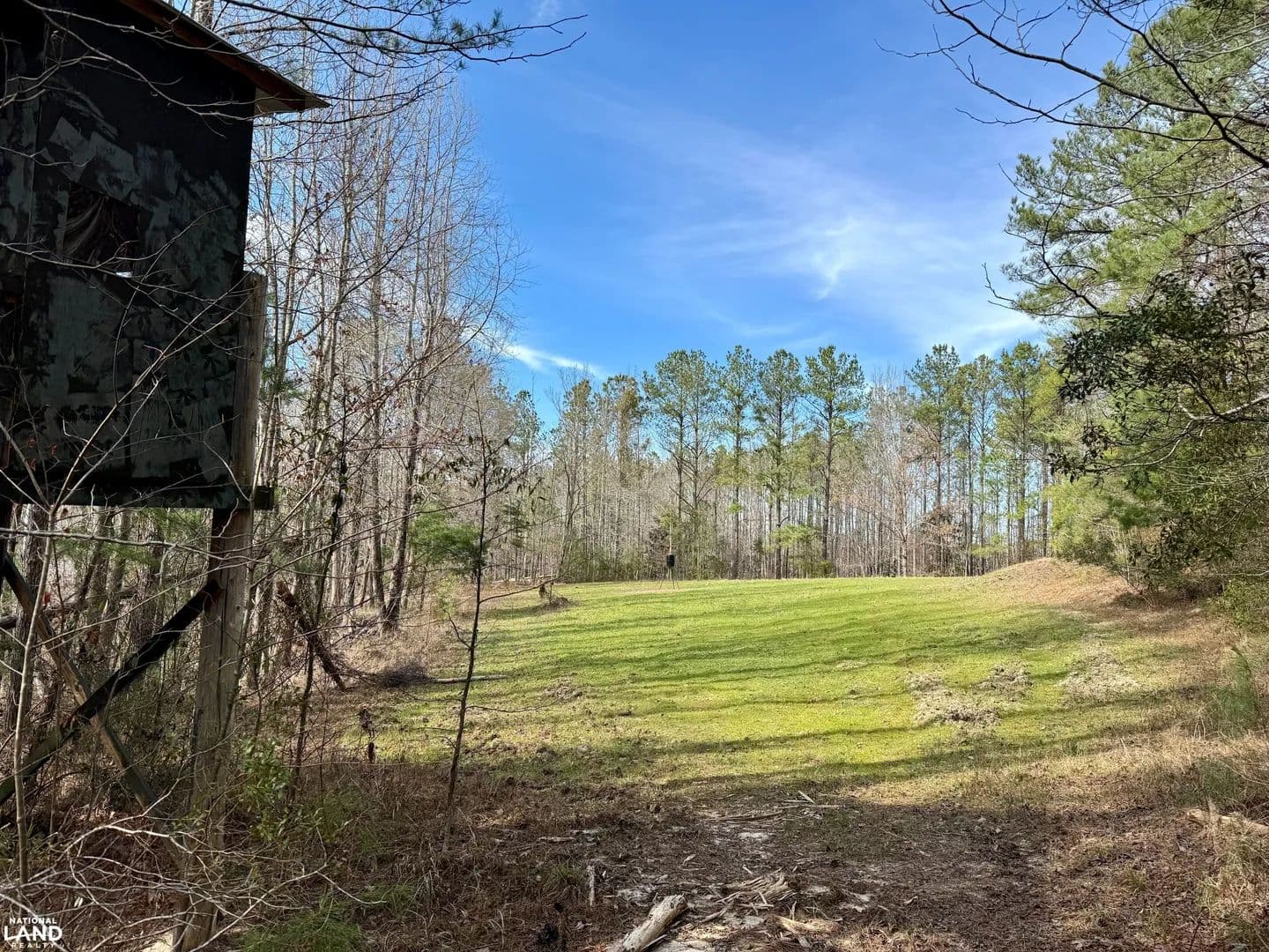 Thomasville East Hunting & Timber Investment - Thomasville, Alabama, 36784