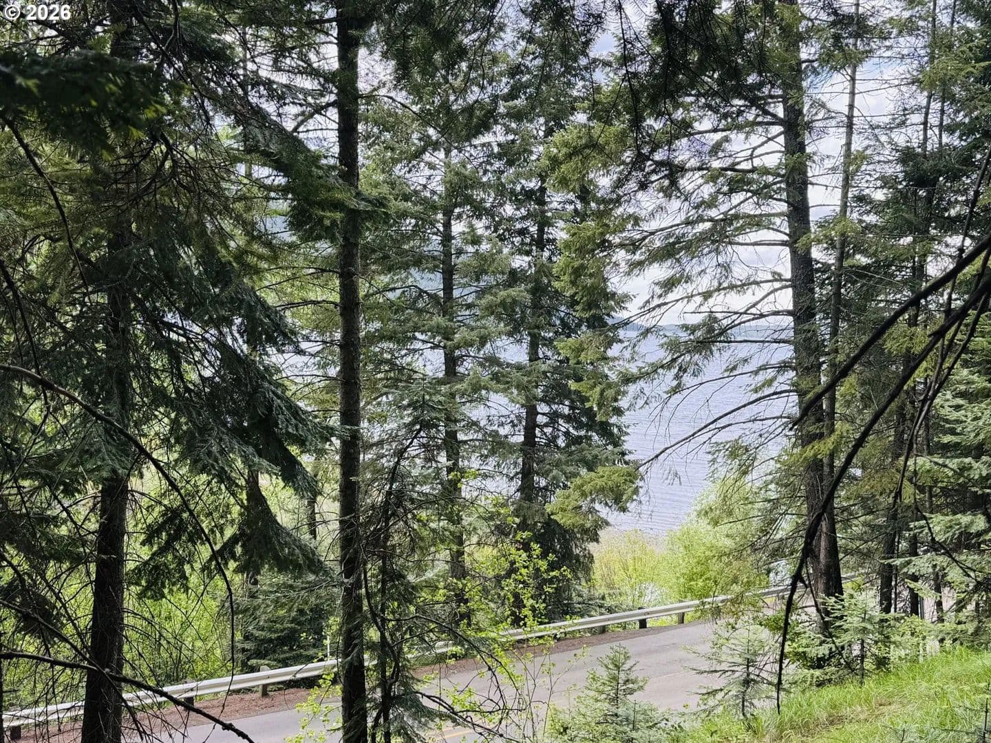 Property from 0 FOREST DELL RD - KW - Joseph, Oregon, 97846