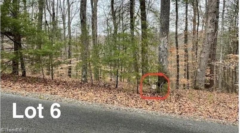 Vacant Land in Stuart - Stuart, Virginia, 24171