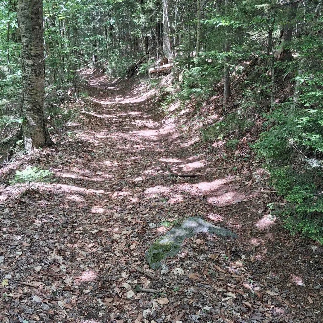 47 Acres of Land for Sale in Eden, VT - Eden, Vermont, 05652