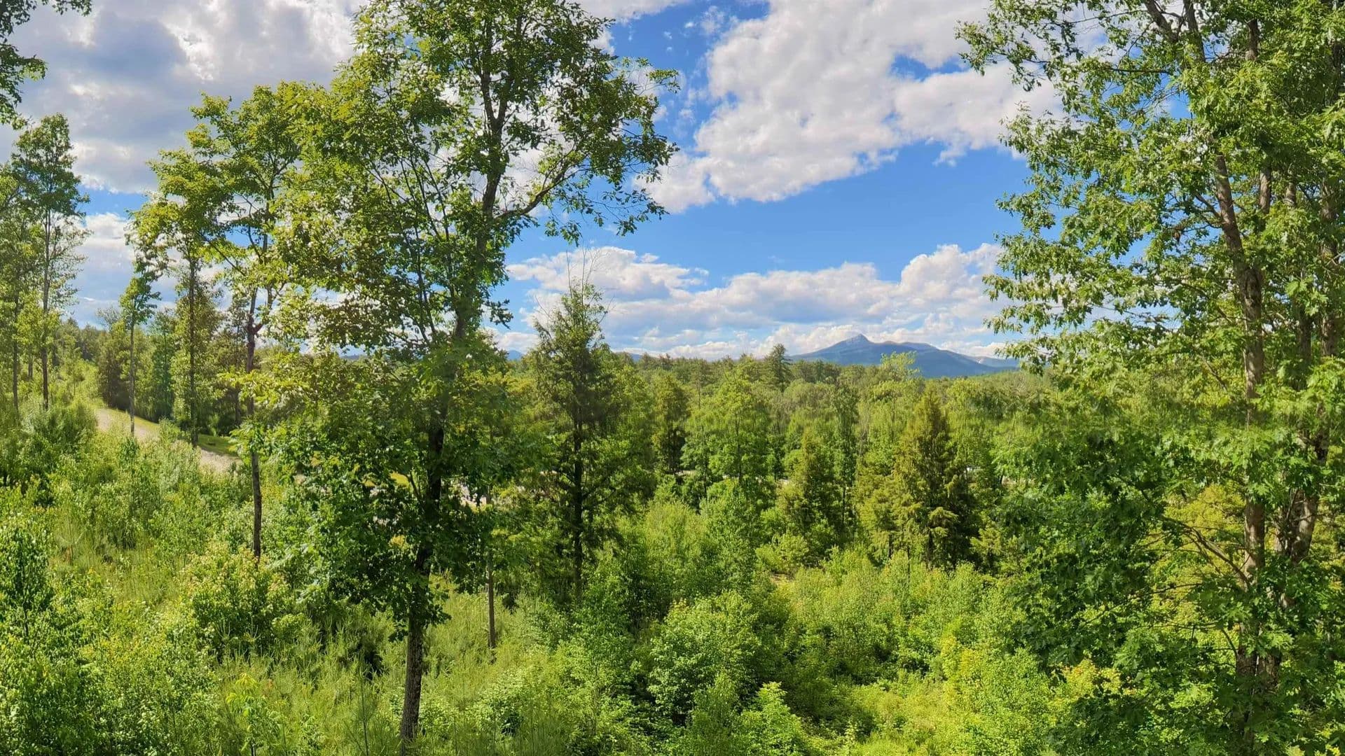3.47 Acres of Land for Sale in Tamworth, NH - Tamworth, New Hampshire, 03817