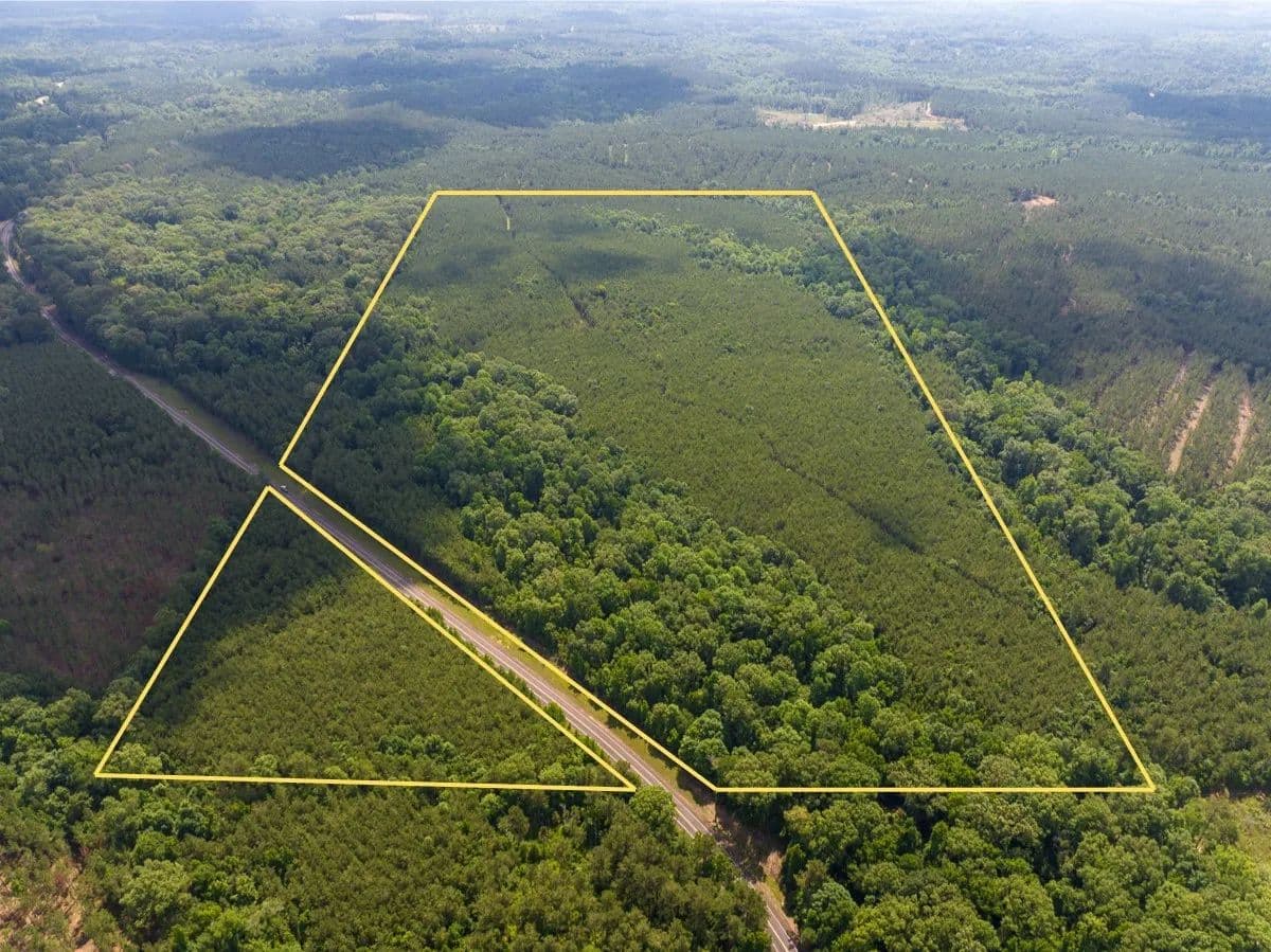 78 Acres of Land for Sale in Jena, Louisiana - Jena, Louisiana, 71465