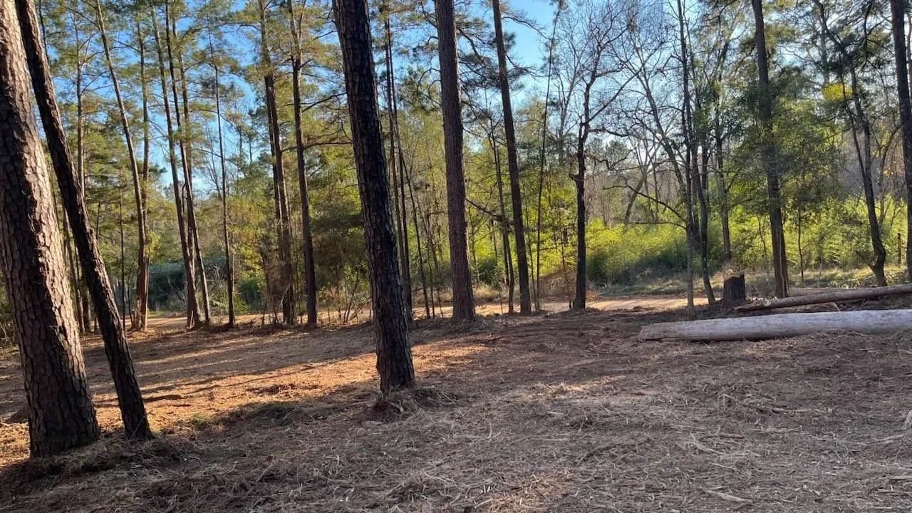 Property from 0 Monroe Drive - KW - Livingston, Texas, 77351