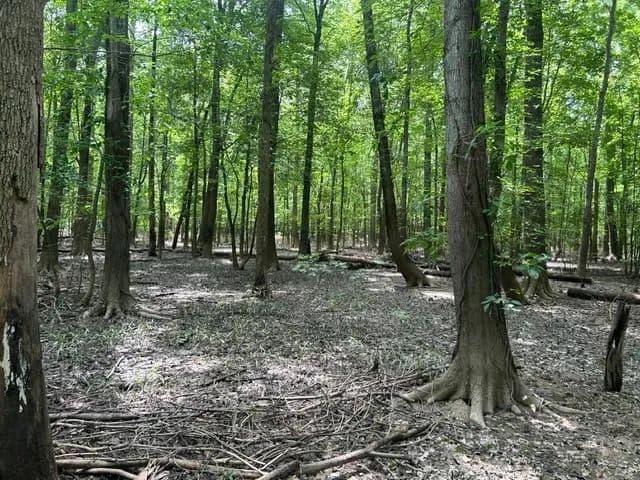 Property from 0 S Side State Road 256 - KW - Scottsburg, Indiana, 47170