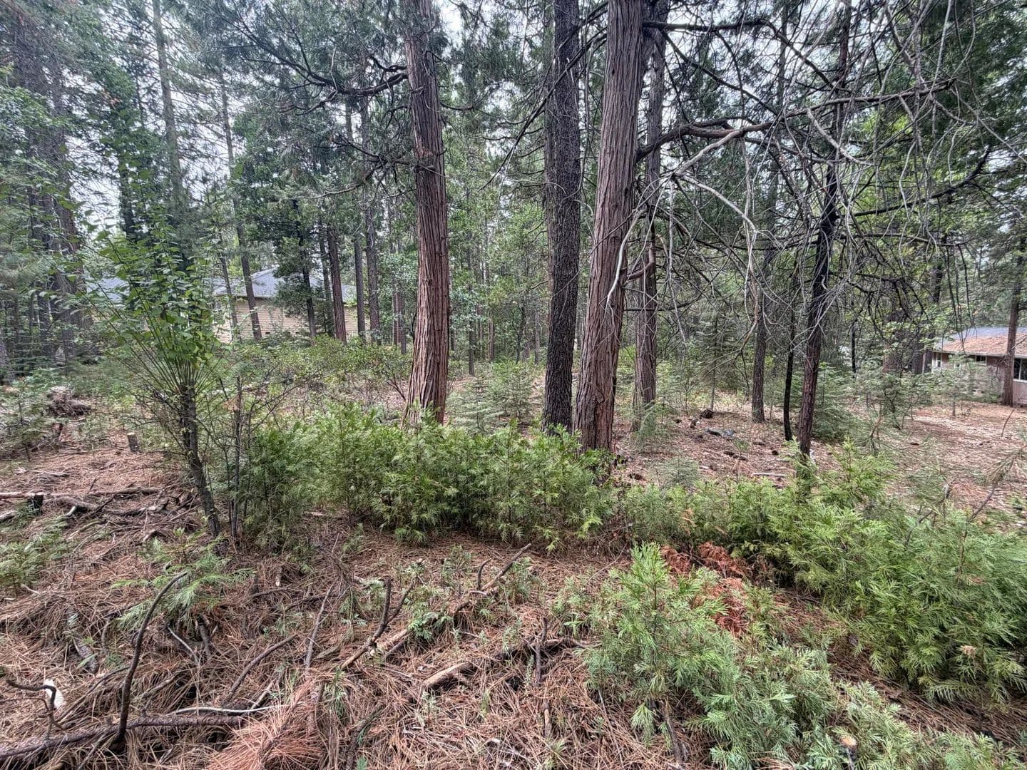 Lots & Land-Other in Burney - land for sale