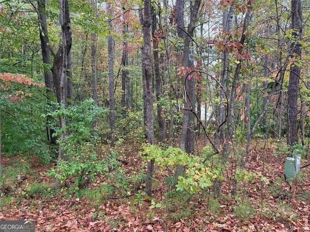 Lots & Land-Other in Villa Rica - land for sale