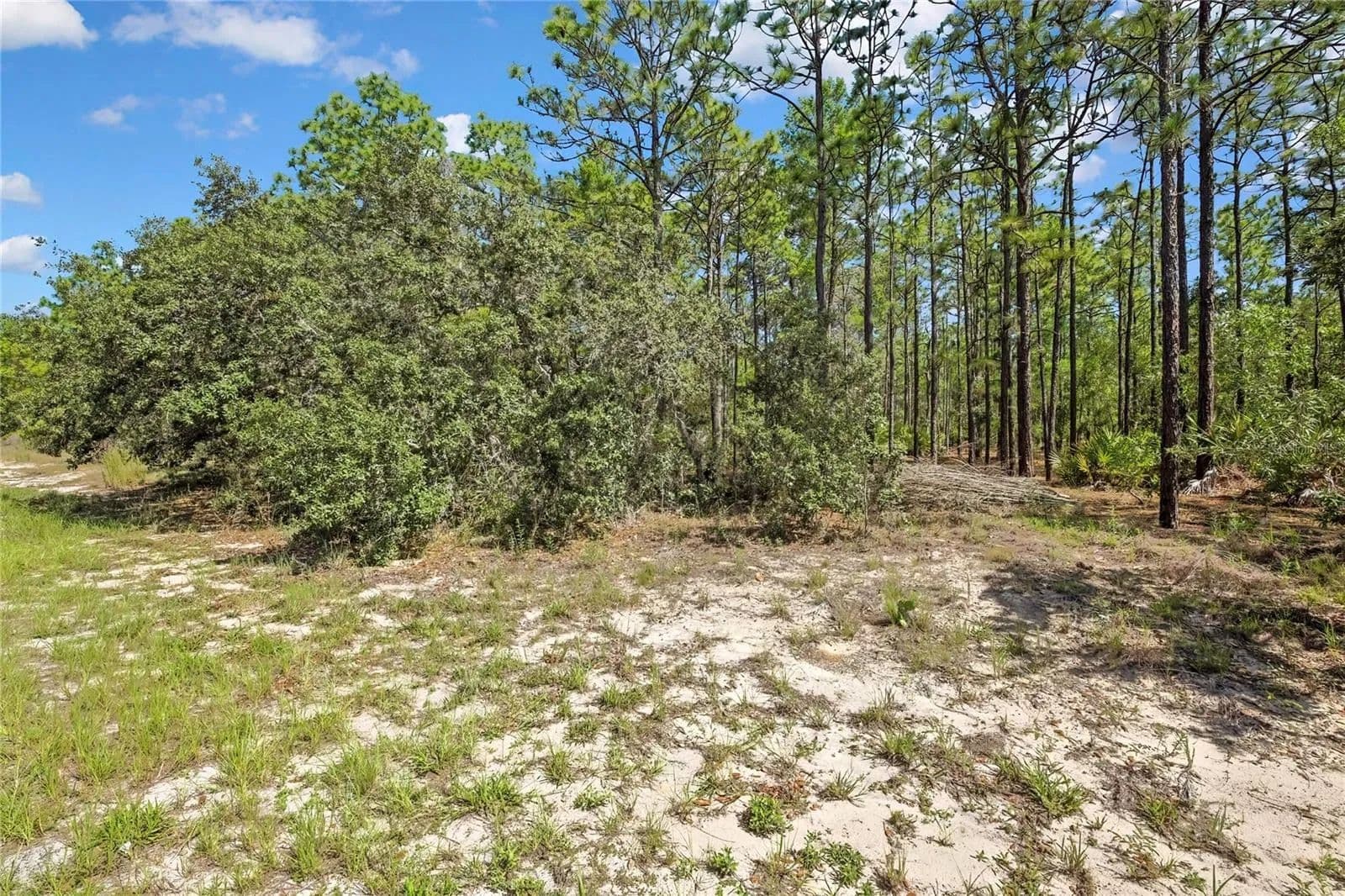 Property from 4156 W HORSESHOE DRIVE - KW - Beverly Hills, Florida, 34465