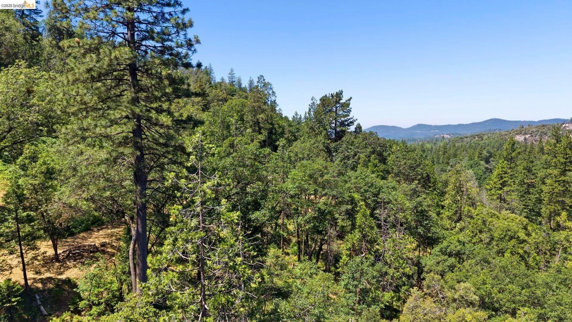 5.3 Acres of Land for Sale in Sonora, California - Sonora, California, 95370