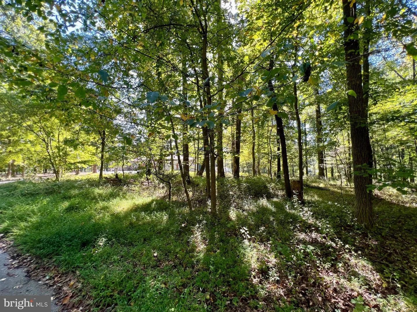 Vacant Land in Reisterstown - land for sale