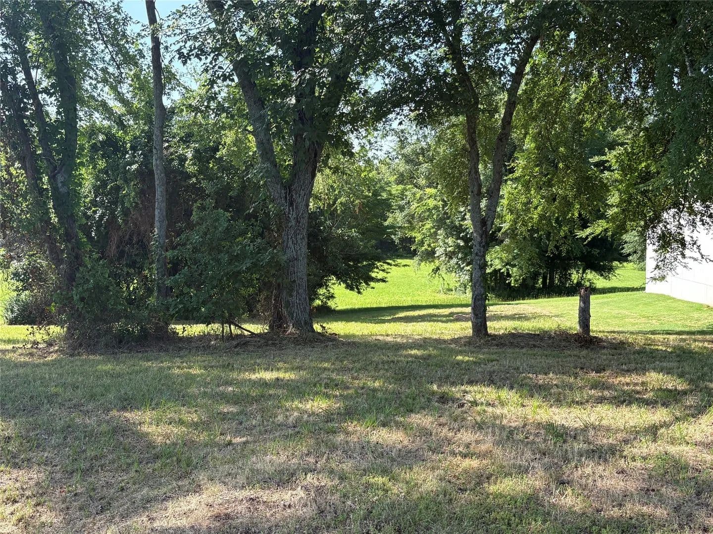 Property from Lots 6&7 Indian Gap - KW - Quitman, Texas, 75783