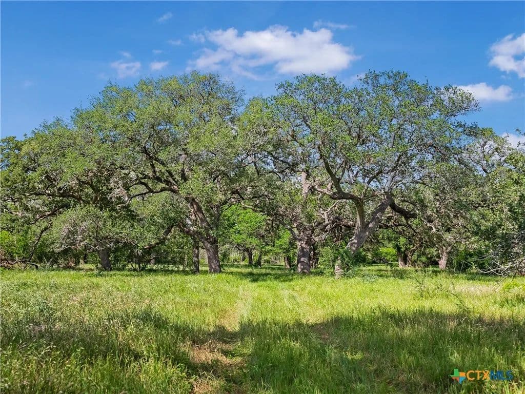 Vacant Land in Meyersville - Meyersville, Texas, 77974