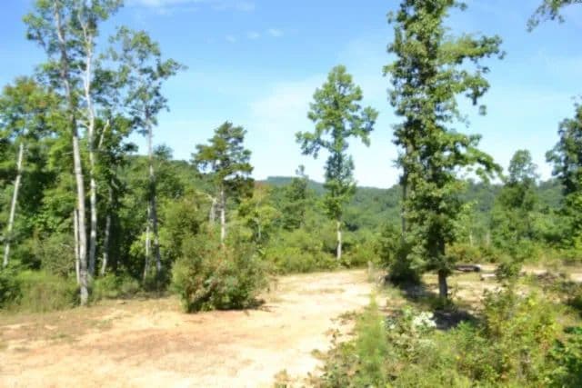 9.85 AC W/ LAKE & MTN VIEWS / CABIN / DOUBLE OUTSIDE SHOWER / 2 STORY PLATFORM / SPRINGS / AT THE END OF THE ROAD / PRIVATE / SECLUDED - Celina, Tennessee, 38551