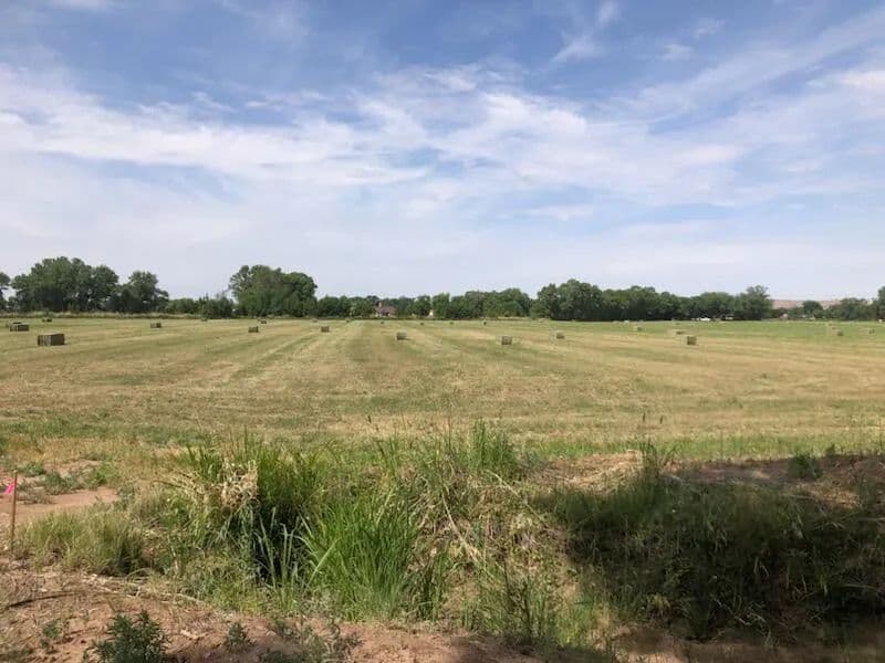 Property from N/A - KW - Belen, New Mexico, 87002