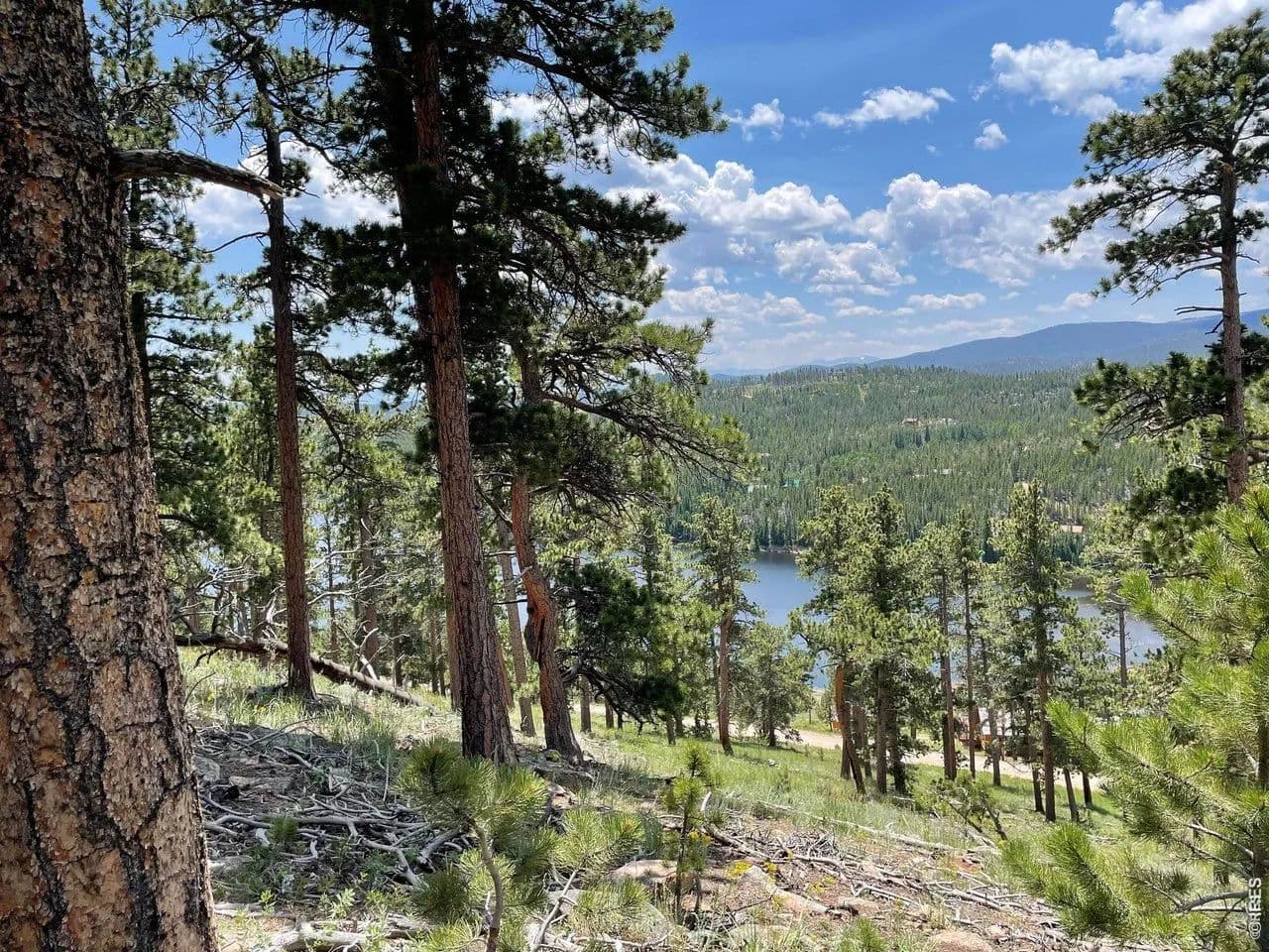 1.39 Acres of Land for Sale in Red Feather Lakes, CO - Red Feather Lakes, Colorado, 80545