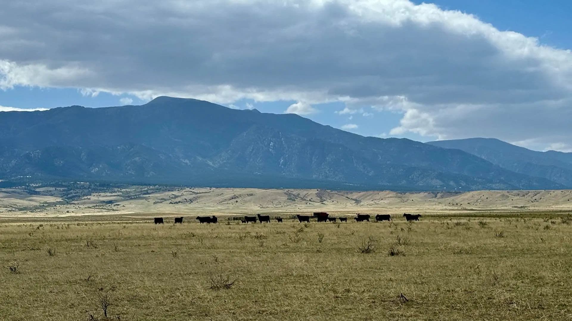 Bozell Ranch - Rye, Colorado, 81069