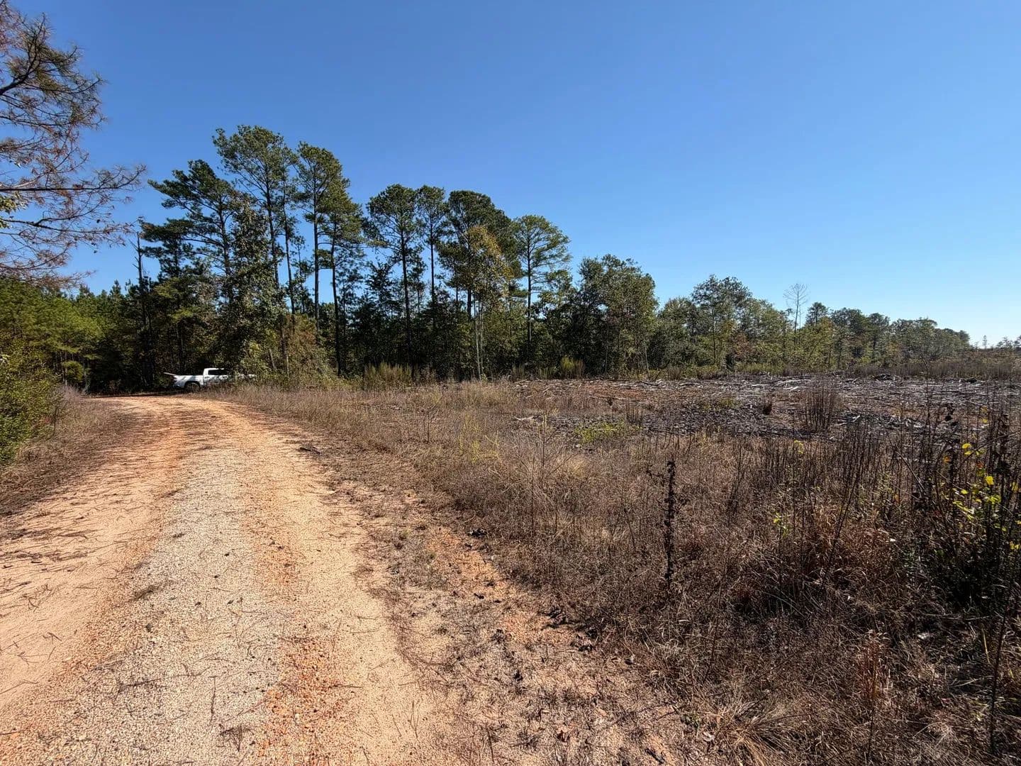 26 +/- Acres , in Wadley community of Tallapoosa County, AL - Wadley, Alabama, 36276