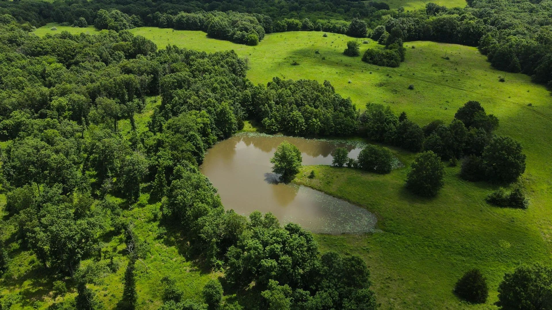 301 Acres in Monroe County, MO - Madison, Mississippi, 65263