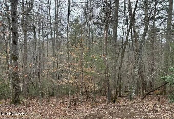 Lots & Land-Other in Fairfield Glade - Fairfield Glade, Tennessee, 38558