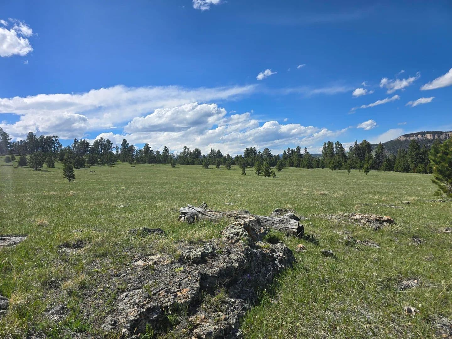 10.99 Acres of Land for Sale in Buffalo, Wyoming - Buffalo, Wyoming, 82834