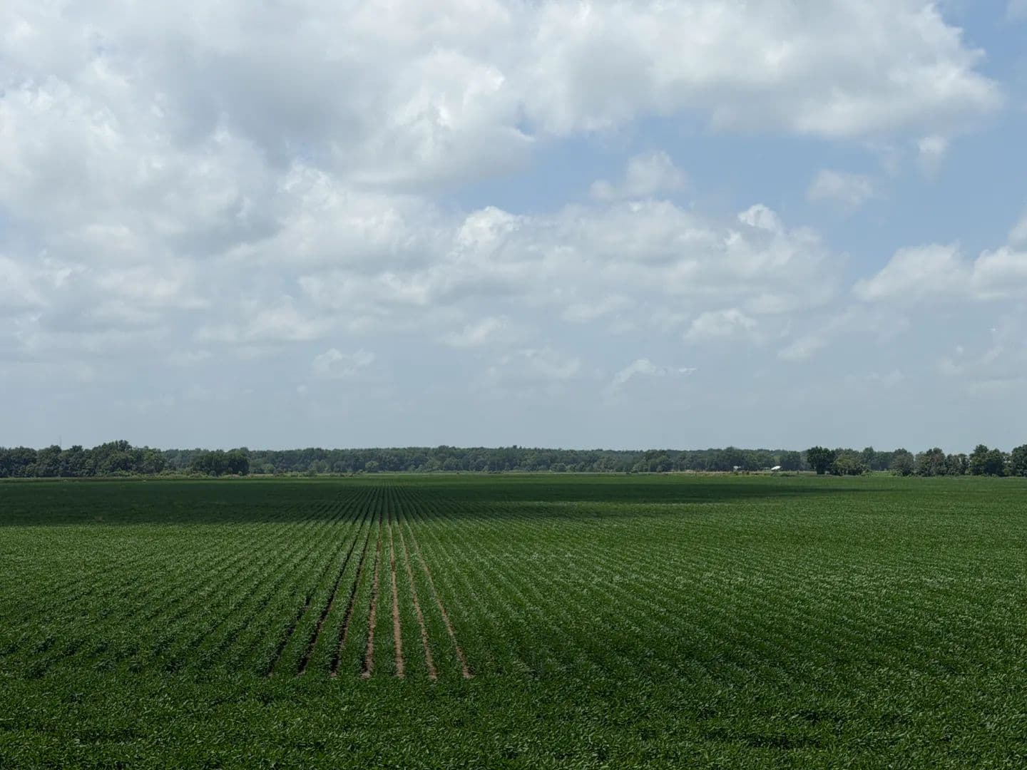 145.18 Acres in Tunica County, MS - Tunica, Mississippi, 38676