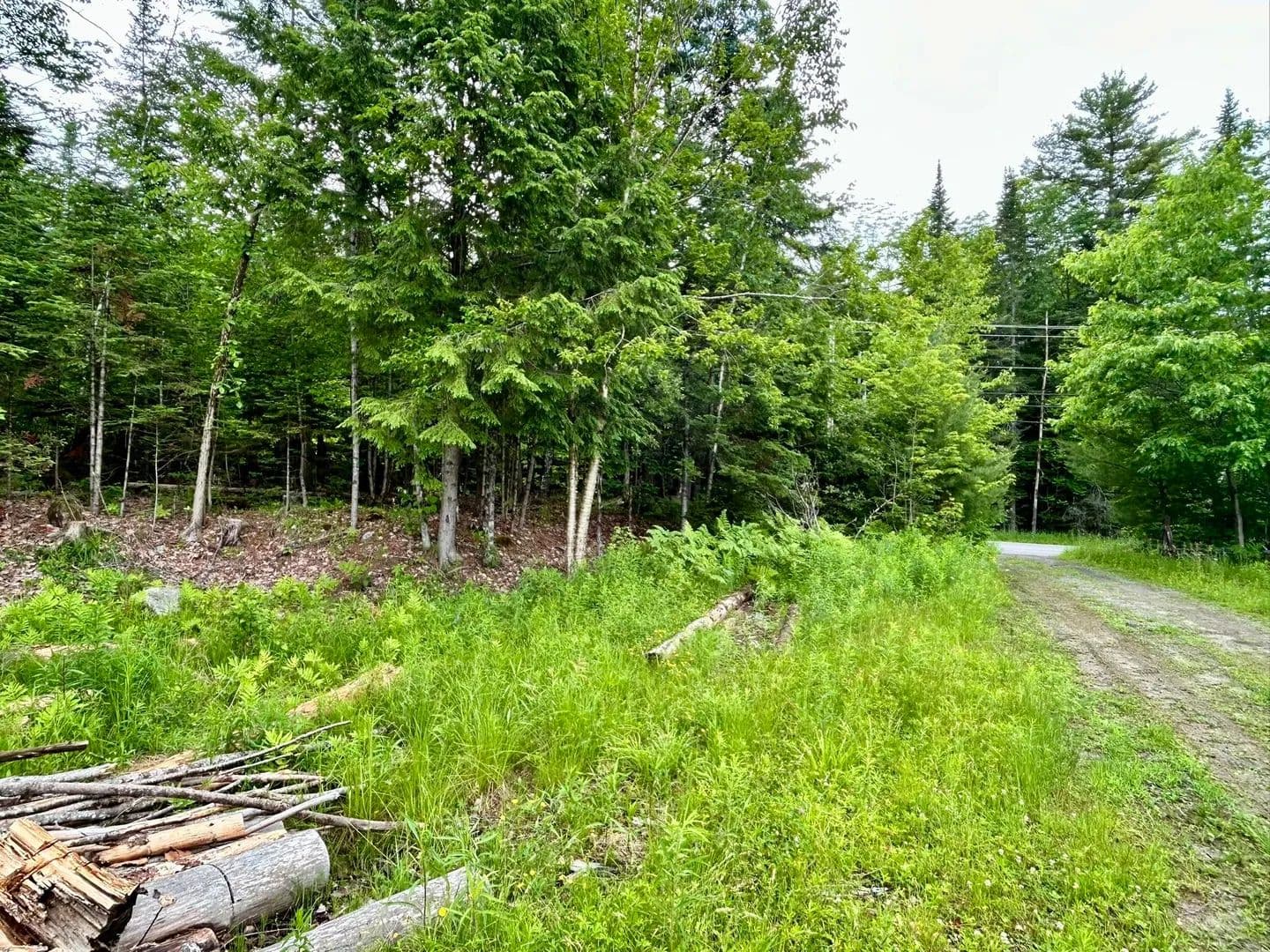 9.23 Acres of Land for Sale in Hartland, ME - Hartland, Maine, 04943
