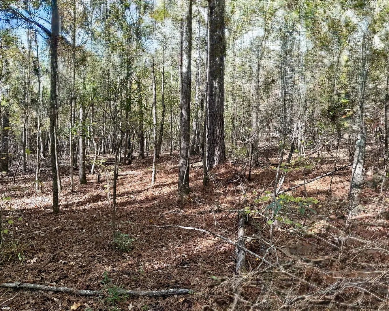 Northside Homesite/Investment Property - Northport, Alabama, 35475