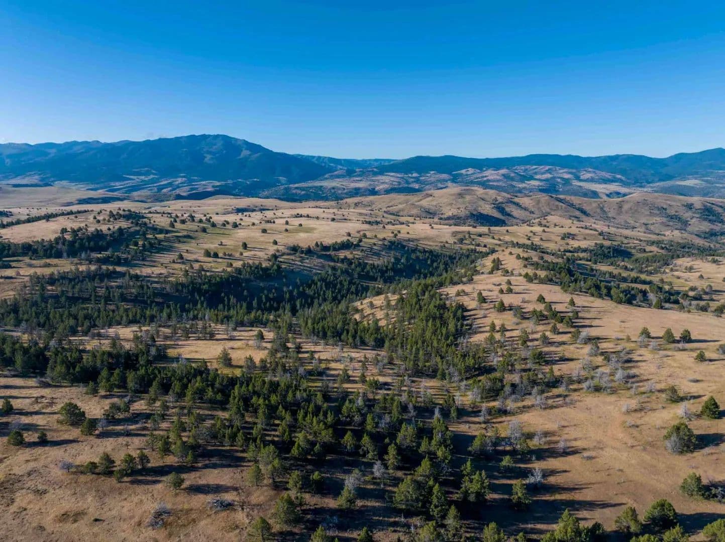 Little Beech Creek North - Oregon, 97845
