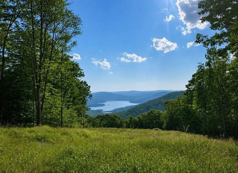 22 Acres of Land for Sale in Walton, NY - Walton, New York, 13856