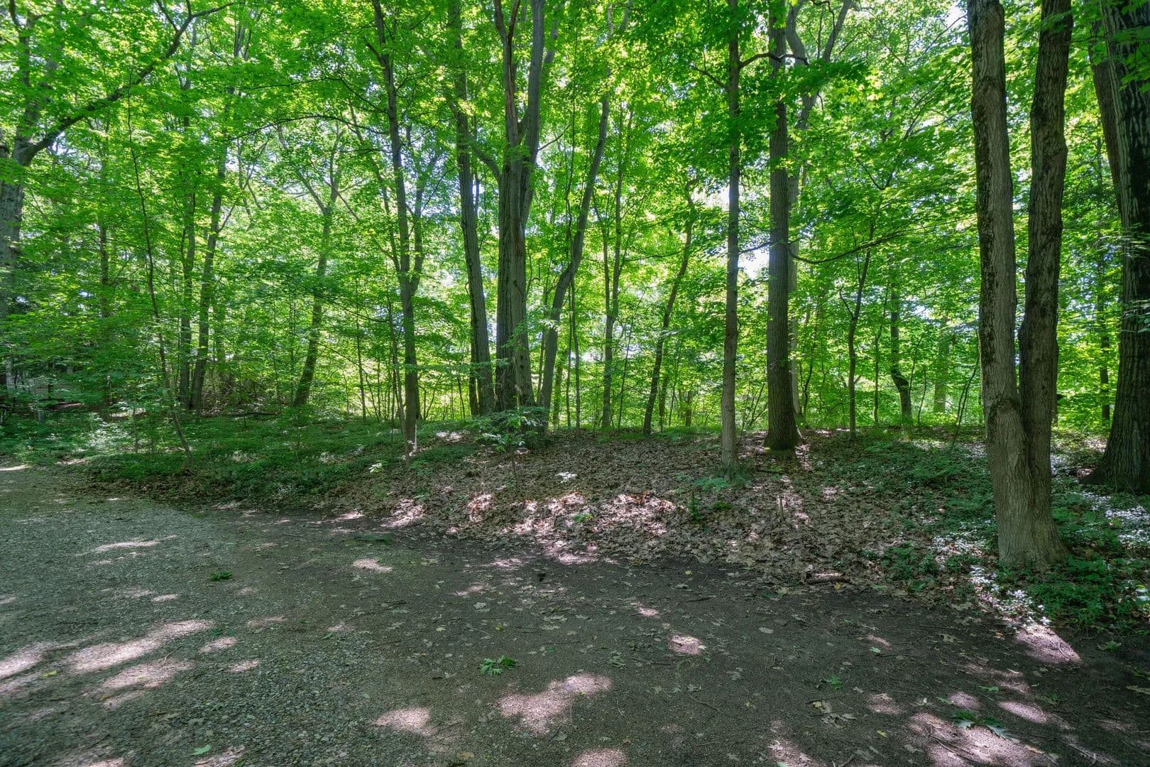 0.2 Acres of Land for Sale in Covert, Michigan - Covert, Michigan, 49043
