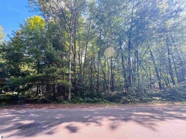Vacant Land in Houghton Lake - Houghton Lake, Michigan, 48629