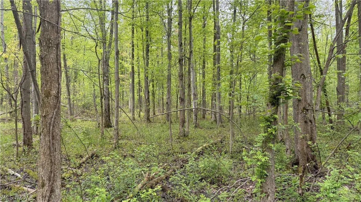 36 Acres of Land for Sale in Ashtabula, Ohio - Ashtabula, Ohio, 44004
