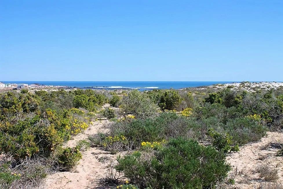 675 Acres of Land for Sale in Hondeklip Bay, Northern Cape - land for sale