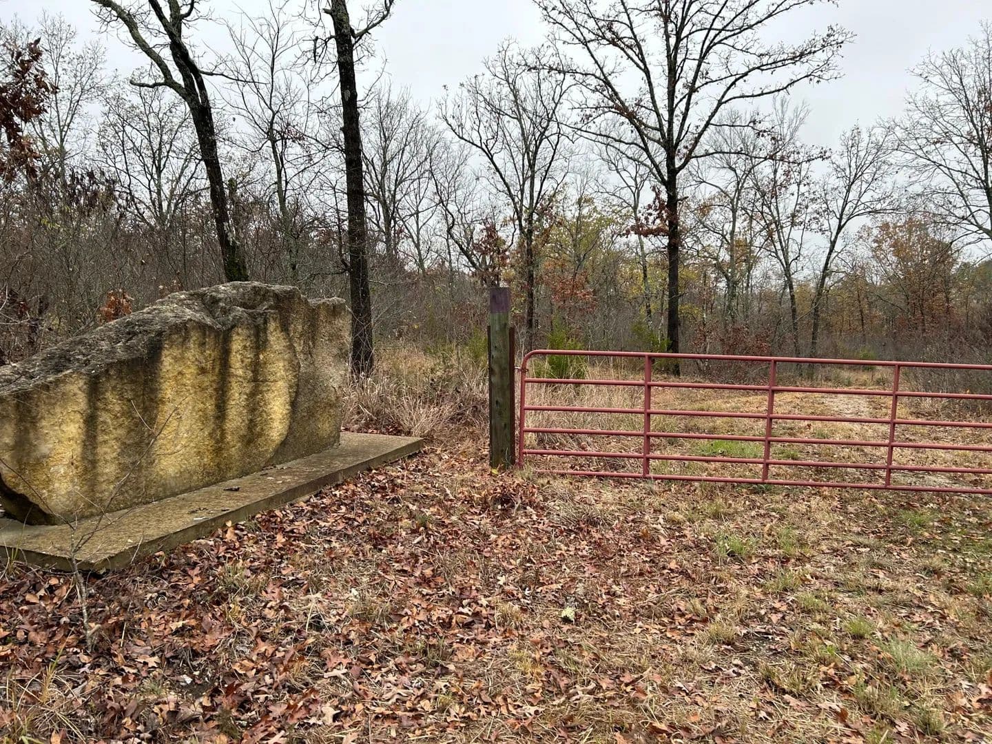 50 Acres of Land for Sale in Bradleyville, MO - Bradleyville, Missouri, 65614