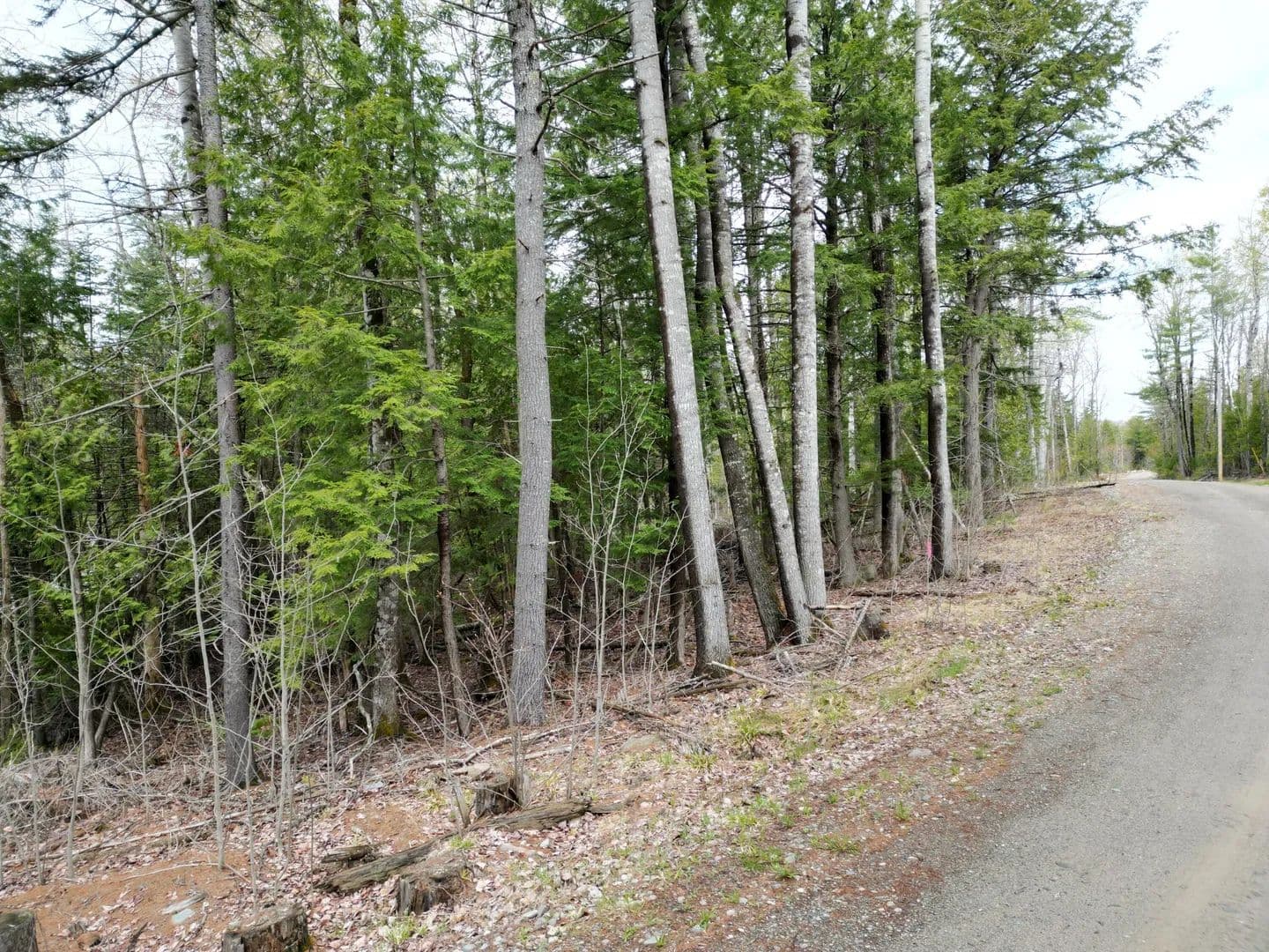 1.7 Acres of Land for Sale in Lincoln, Maine - land for sale