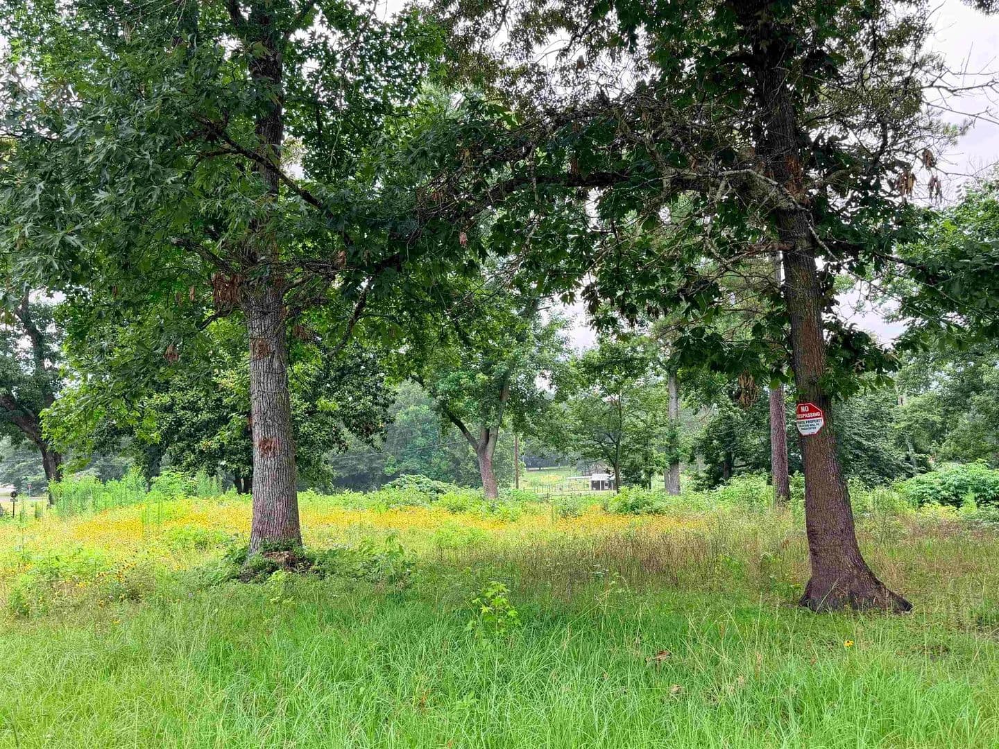 9.92 Acres of Land for Sale in Woodville, Texas - Woodville, Texas, 75979