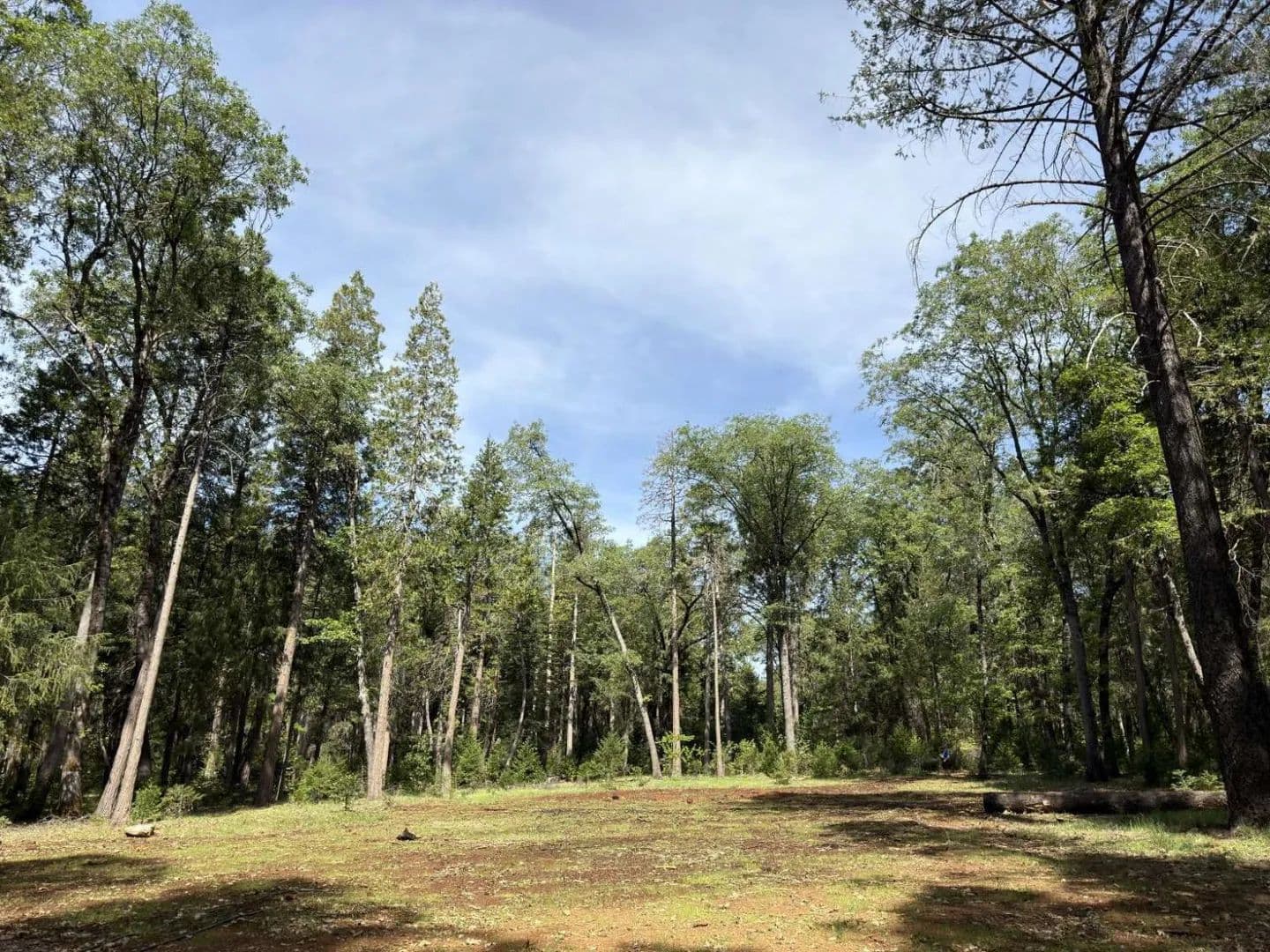 Property from 13987 Lee Lane - KW - land for sale